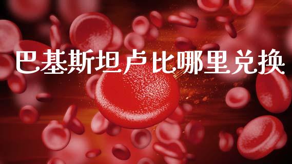 巴基斯坦卢比哪里兑换_https://www.gongyisiwang.com_焦炭期货手续费_第1张