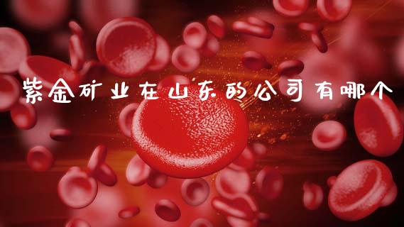 紫金矿业在山东的公司有哪个_https://www.gongyisiwang.com_恒指期货_第1张