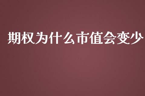 期权为什么市值会变少_https://www.gongyisiwang.com_股指期货_第1张