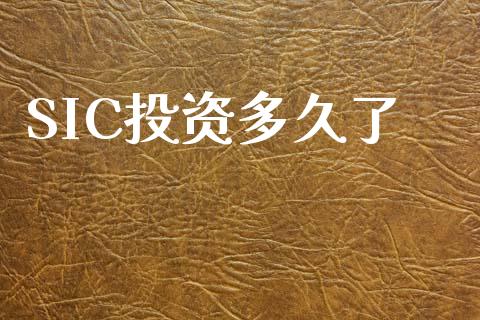 SIC投资多久了_https://www.gongyisiwang.com_道指_第1张