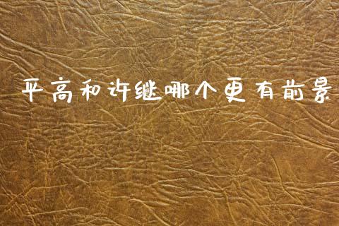 平高和许继哪个更有前景_https://www.gongyisiwang.com_焦炭期货手续费_第1张