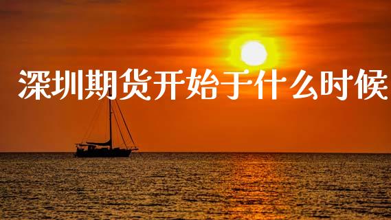 深圳期货开始于什么时候_https://www.gongyisiwang.com_焦炭期货手续费_第1张