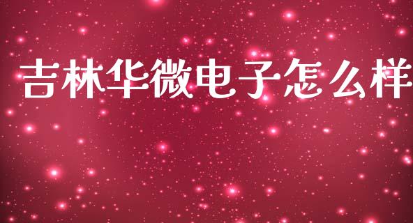 吉林华微电子怎么样_https://www.gongyisiwang.com_道指_第1张