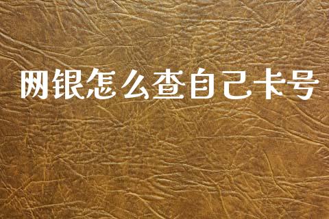 网银怎么查自己卡号_https://www.gongyisiwang.com_焦炭期货手续费_第1张