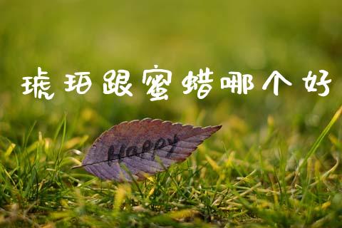琥珀跟蜜蜡哪个好_https://www.gongyisiwang.com_广发期货手续费_第1张