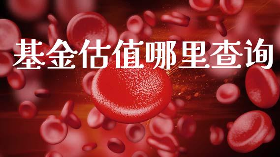 基金估值哪里查询_https://www.gongyisiwang.com_原油期货_第1张