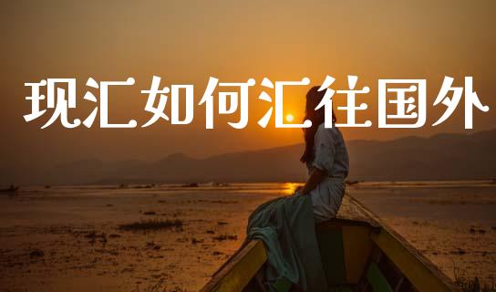 现汇如何汇往国外_https://www.gongyisiwang.com_期货公司手续费排名_第1张