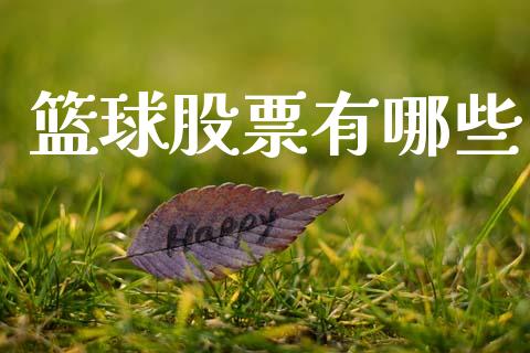篮球股票有哪些_https://www.gongyisiwang.com_广发期货手续费_第1张