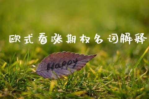 欧式看涨期权名词解释_https://www.gongyisiwang.com_广发期货手续费_第1张