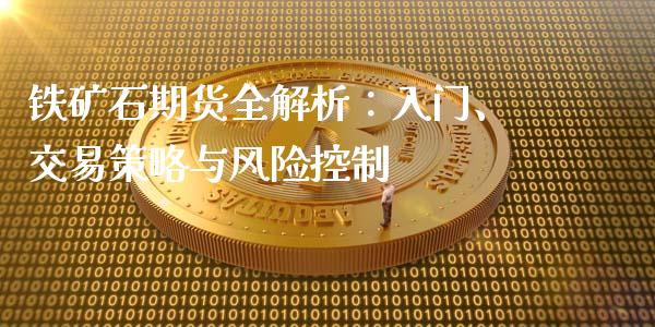铁矿石期货全解析：入门、交易策略与风险控制_https://www.gongyisiwang.com_股指期货交易手续费_第1张
