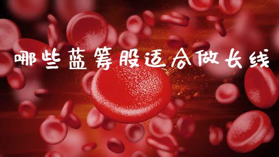哪些蓝筹股适合做长线_https://www.gongyisiwang.com_股指期货交易手续费_第1张