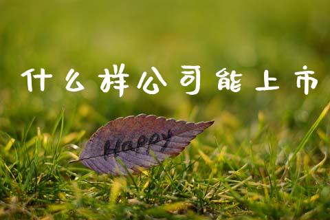什么样公司能上市_https://www.gongyisiwang.com_股指期货交易手续费_第1张
