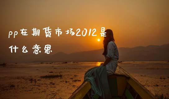 pp在期货市场2012是什么意思_https://www.gongyisiwang.com_广发期货手续费_第1张