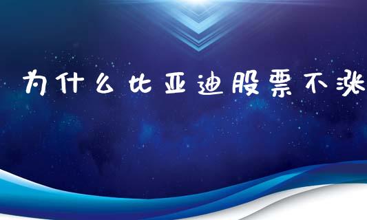 为什么比亚迪股票不涨_https://www.gongyisiwang.com_期货公司手续费排名_第1张