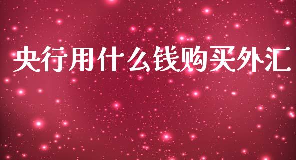央行用什么钱购买外汇_https://www.gongyisiwang.com_焦炭期货手续费_第1张