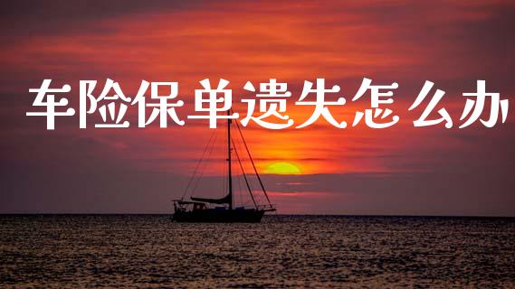 车险保单遗失怎么办_https://www.gongyisiwang.com_期货公司手续费排名_第1张