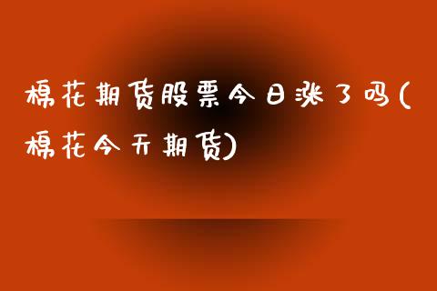 棉花期货股票今日涨了吗(棉花今天期货)_https://www.gongyisiwang.com_股指期货交易手续费_第1张