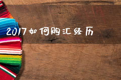 2017如何购汇经历_https://www.gongyisiwang.com_原油期货_第1张