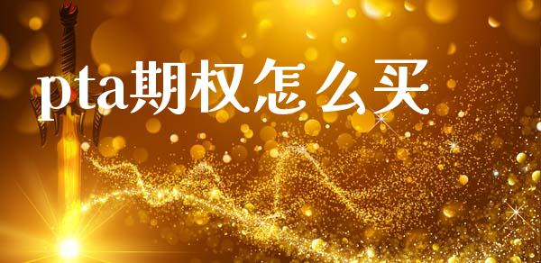 pta期权怎么买_https://www.gongyisiwang.com_焦炭期货手续费_第1张