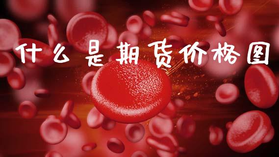 什么是期货价格图_https://www.gongyisiwang.com_恒指期货_第1张