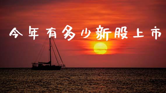 今年有多少新股上市_https://www.gongyisiwang.com_焦炭期货手续费_第1张