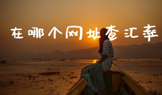 在哪个网址查汇率_https://www.gongyisiwang.com_广发期货手续费_第1张