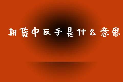 期货中反手是什么意思_https://www.gongyisiwang.com_焦炭期货手续费_第1张