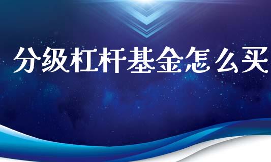 分级杠杆基金怎么买_https://www.gongyisiwang.com_焦炭期货手续费_第1张