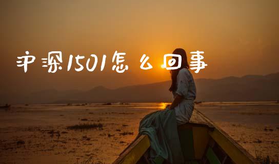 沪深1501怎么回事_https://www.gongyisiwang.com_原油期货_第1张
