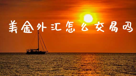 美金外汇怎么交易吗_https://www.gongyisiwang.com_焦炭期货手续费_第1张