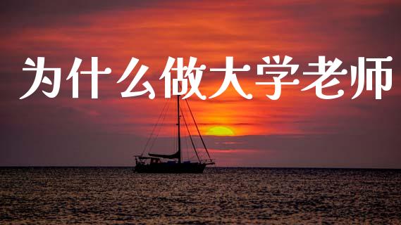 为什么做大学老师_https://www.gongyisiwang.com_广发期货手续费_第1张