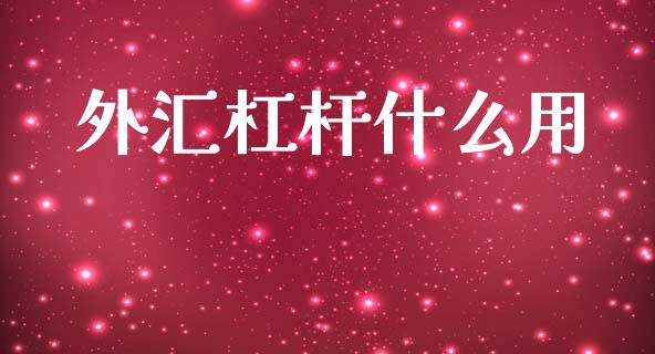 外汇杠杆什么用_https://www.gongyisiwang.com_道指_第1张