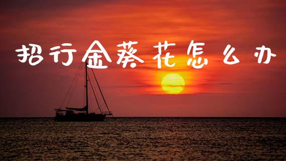 招行金葵花怎么办_https://www.gongyisiwang.com_期货公司手续费排名_第1张