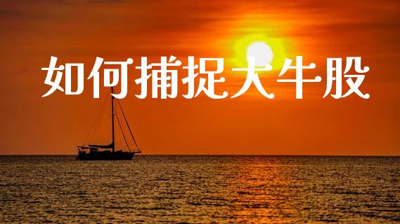 如何捕捉大牛股_https://www.gongyisiwang.com_焦炭期货手续费_第1张