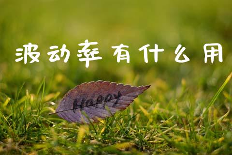 波动率有什么用_https://www.gongyisiwang.com_期货公司手续费排名_第1张