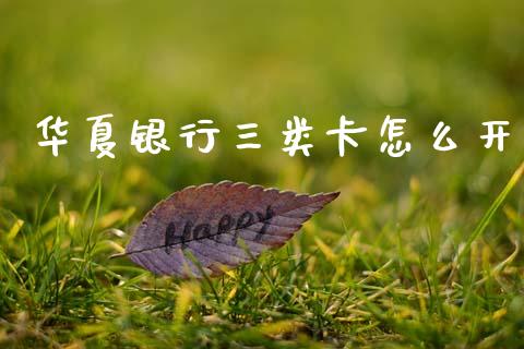 华夏银行三类卡怎么开_https://www.gongyisiwang.com_股指期货交易手续费_第1张