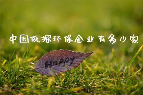 中国低探环保企业有多少家_https://www.gongyisiwang.com_股指期货交易手续费_第1张