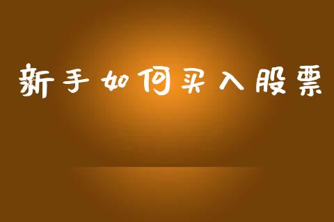 新手如何买入股票_https://www.gongyisiwang.com_道指_第1张
