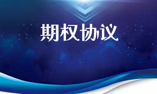 期权协议_https://www.gongyisiwang.com_道指_第1张