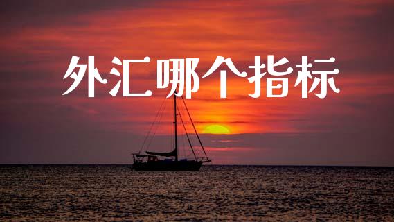 外汇哪个指标_https://www.gongyisiwang.com_期货公司手续费排名_第1张