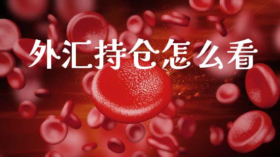 外汇持仓怎么看_https://www.gongyisiwang.com_广发期货手续费_第1张