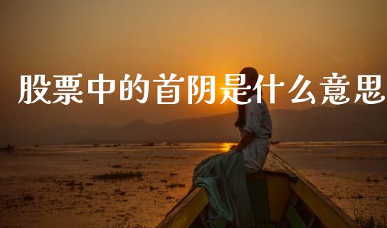 股票中的首阴是什么意思_https://www.gongyisiwang.com_股指期货交易手续费_第1张