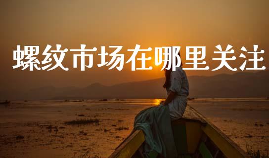 螺纹市场在哪里关注_https://www.gongyisiwang.com_股指期货_第1张