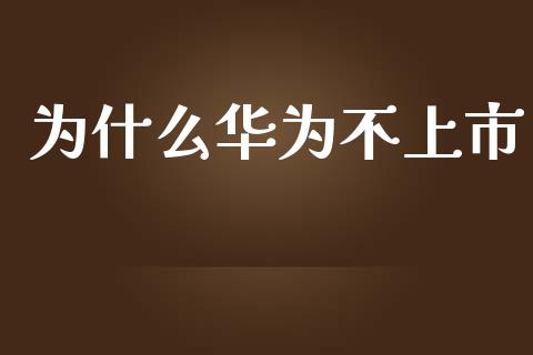 为什么华为不上市_https://www.gongyisiwang.com_股指期货交易手续费_第1张