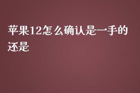 苹果12怎么确认是一手的还是_https://www.gongyisiwang.com_股指期货交易手续费_第1张