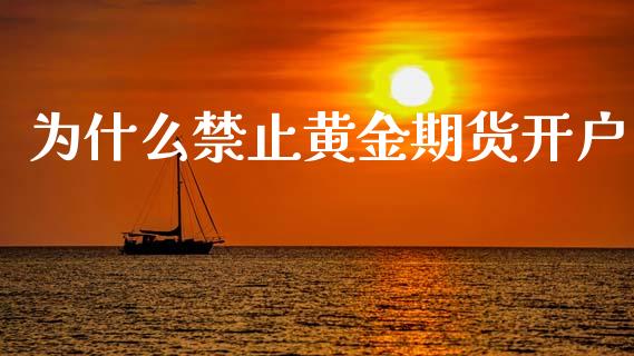 为什么禁止黄金期货开户_https://www.gongyisiwang.com_焦炭期货手续费_第1张