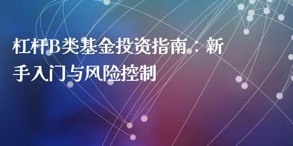 杠杆B类基金投资指南：新手入门与风险控制_https://www.gongyisiwang.com_道指_第1张