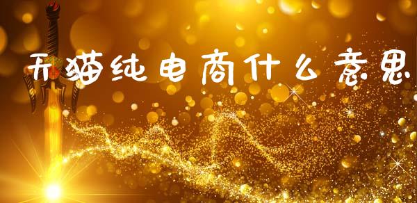 天猫纯电商什么意思_https://www.gongyisiwang.com_股指期货交易手续费_第1张
