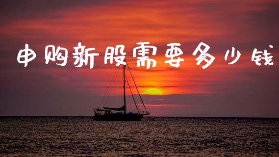 申购新股需要多少钱_https://www.gongyisiwang.com_道指_第1张