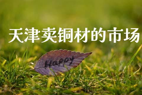 天津卖铜材的市场_https://www.gongyisiwang.com_恒指期货_第1张